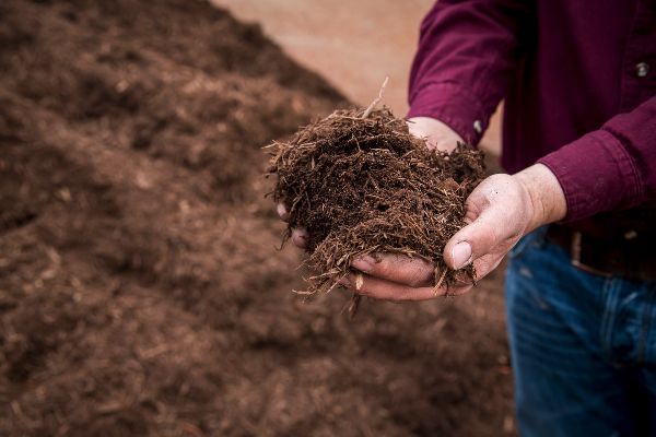 landscaping mulches 